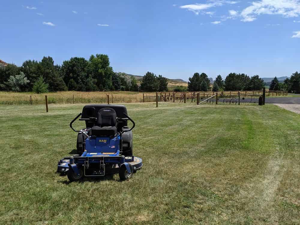 Lawn Care and Maintenance image